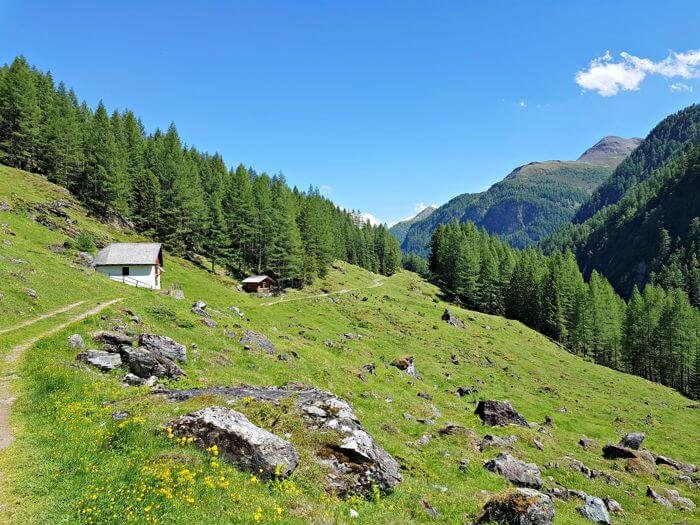 travel restrictions austria covid