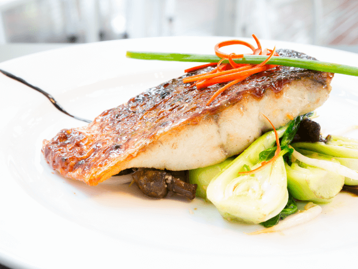 barramundi