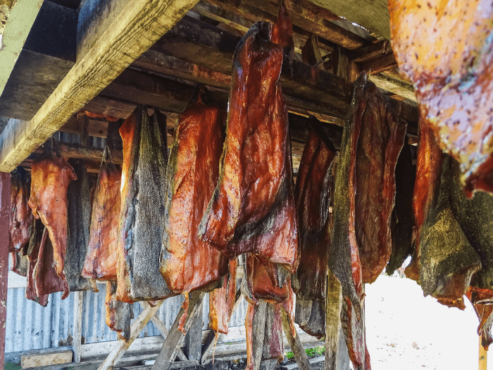 fermented shark hakarl