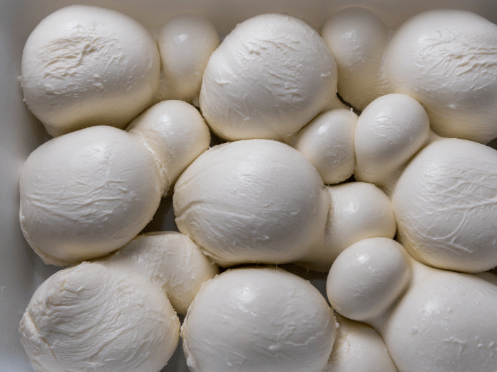 fior di latte