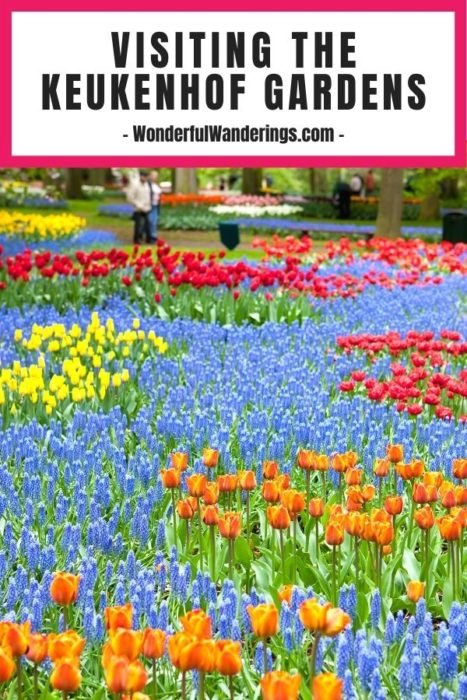 Keukenhof Gardens Travel Guide