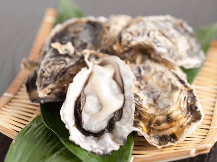 oysters