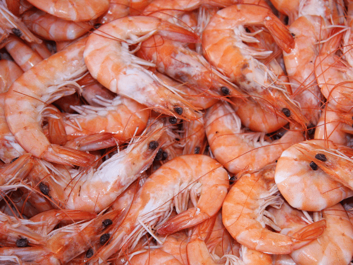 prawns