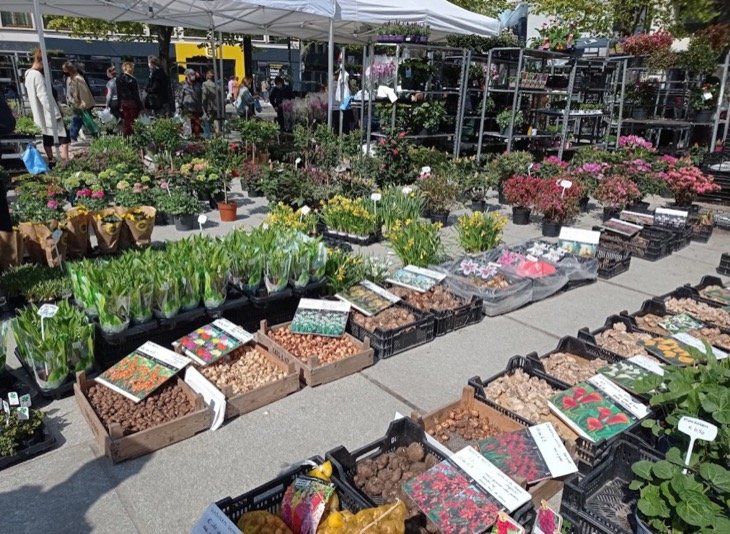 Kouter Bloemenmarkt Gent