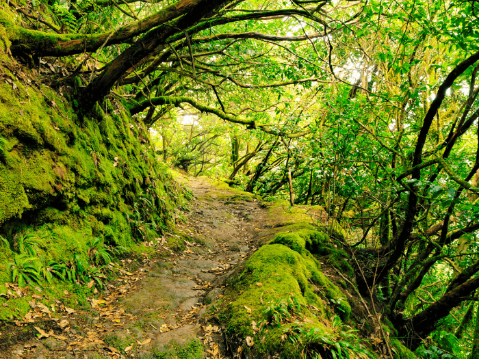 Anaga National Park