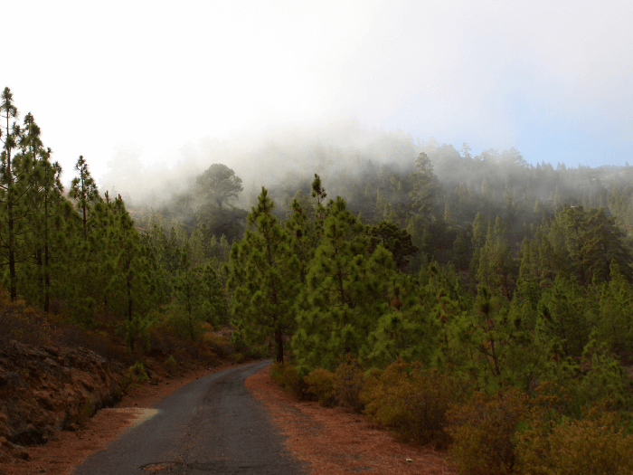 Mountain Biking Tenerife