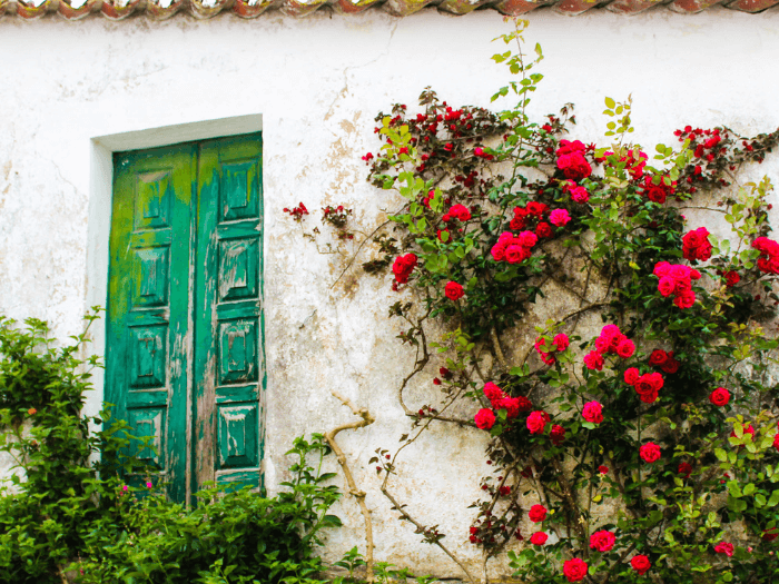 Obidos day trip
