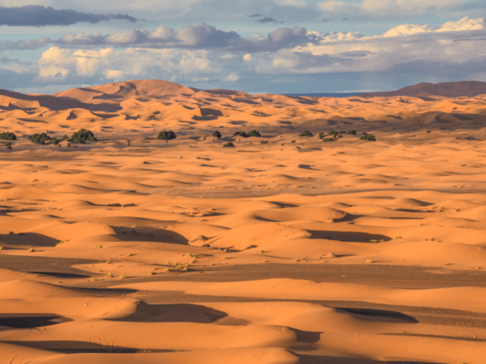Fun fact about Morocco