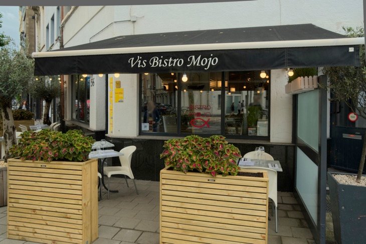 Visbistro Mojo
