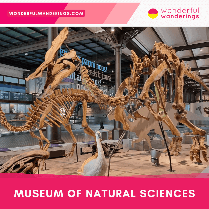Museum of Natural Sciences