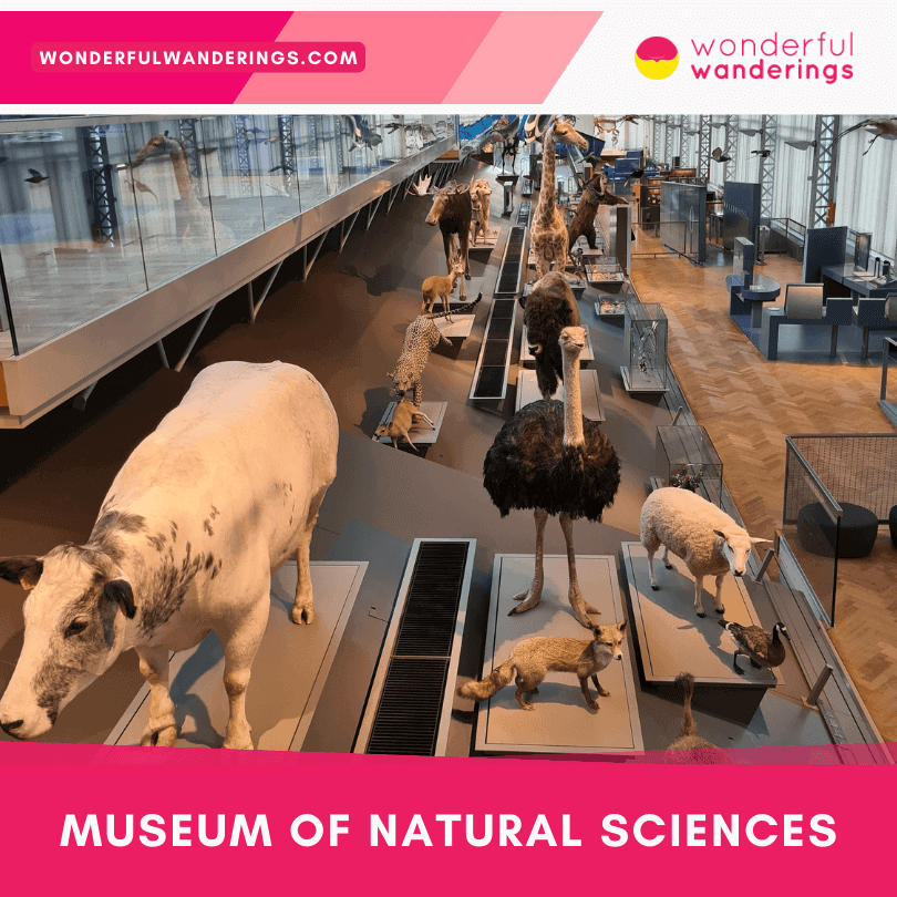 Museum of Natural Sciences