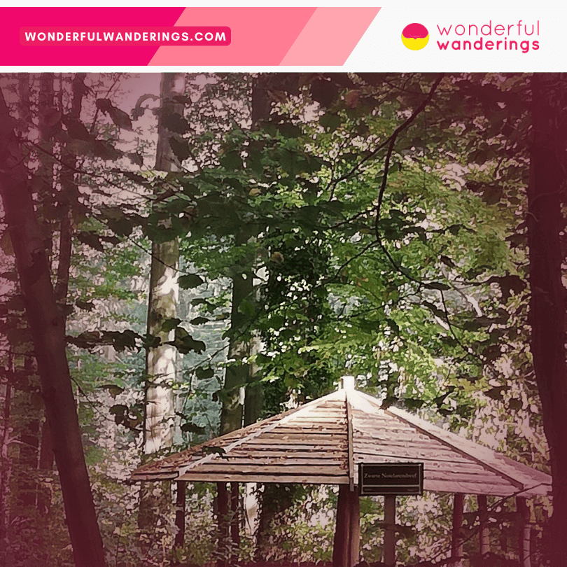 Hallerbos forest shed