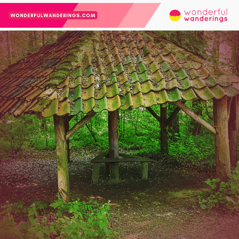 Hallerbos forest shed