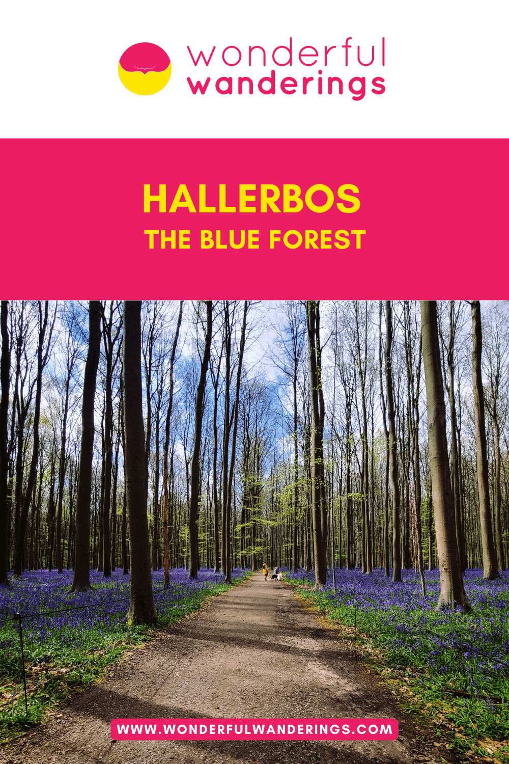 Hallerbos Pinterest image