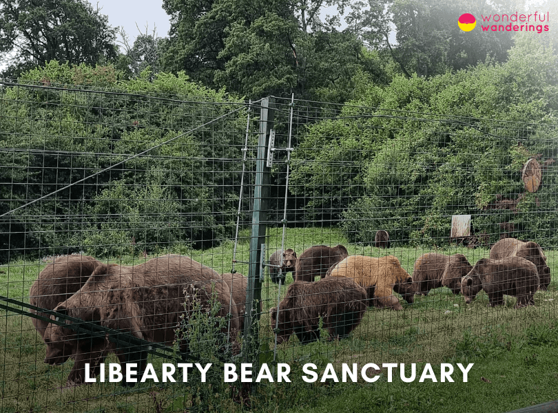 Libearty Bear Sanctuary