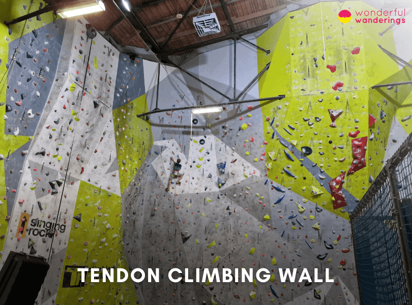 Tendon Climbing Wall