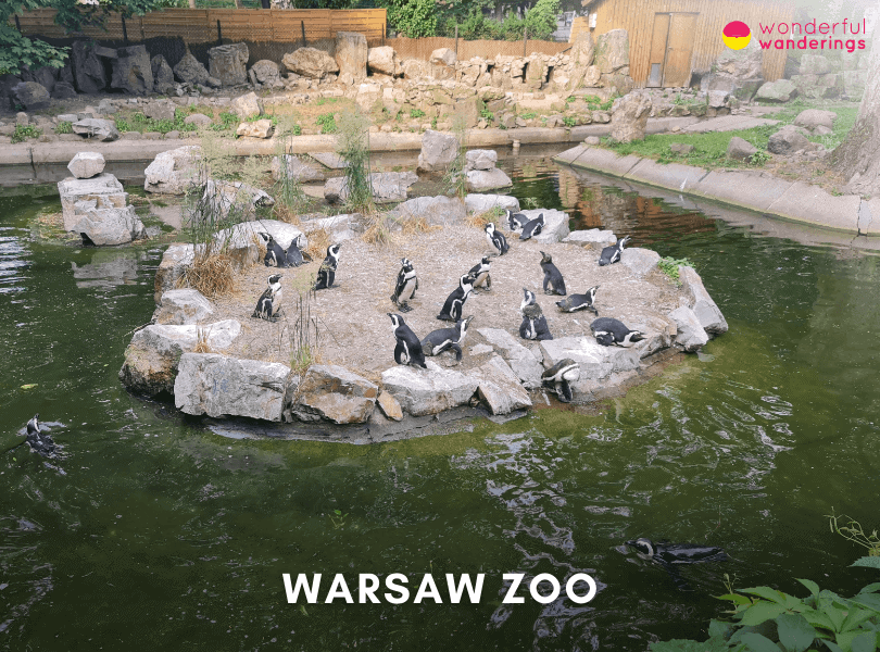 Warsaw Zoo