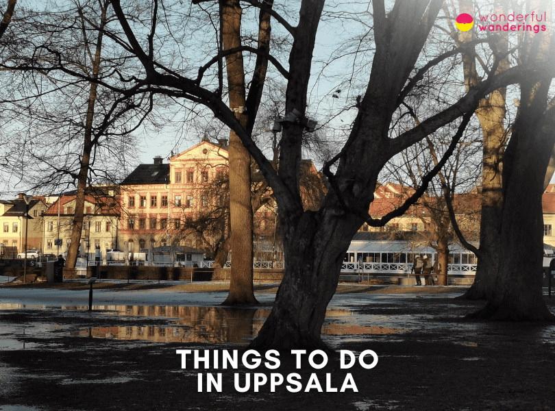 20 Greatest Things to do in Uppsala: Museums, History and Travel Guide 3