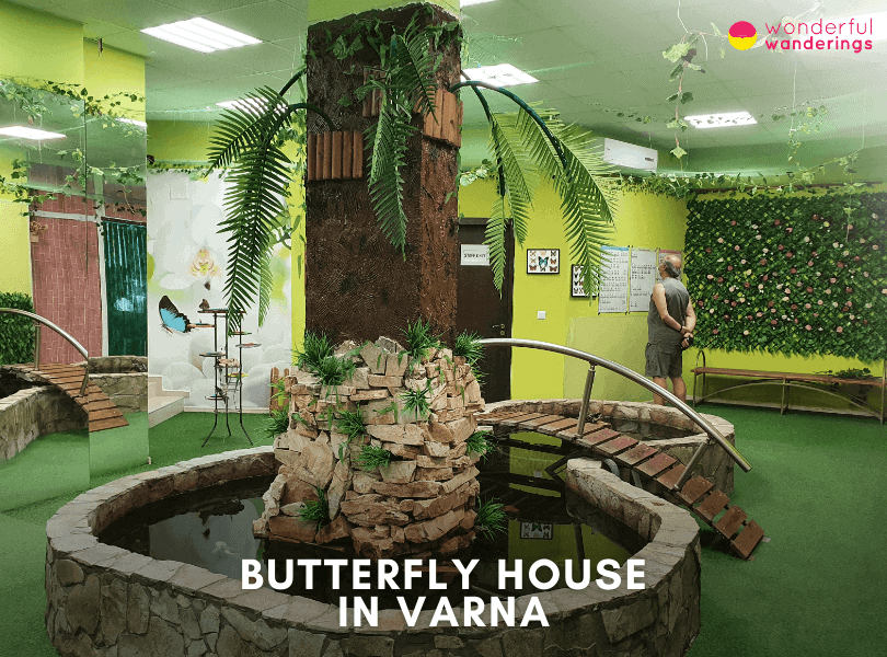 Butterfly House in Varna