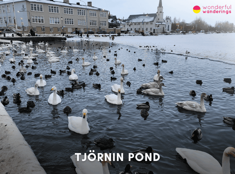 Tjörnin Pond