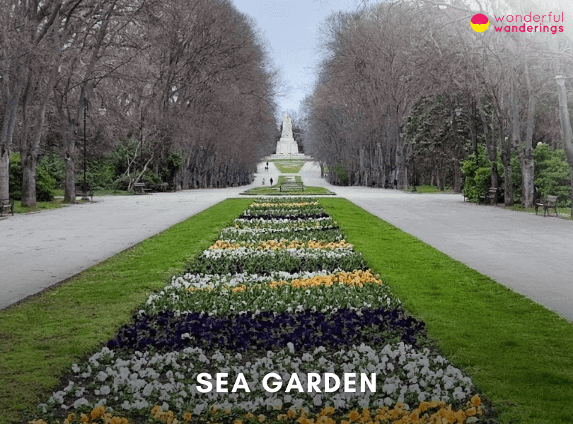 Sea Garden