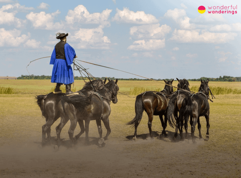 Hungary Cowboys (Csikos)