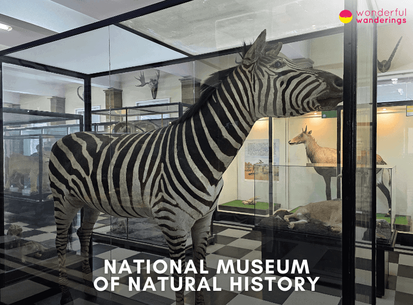 National Museum of Natural History