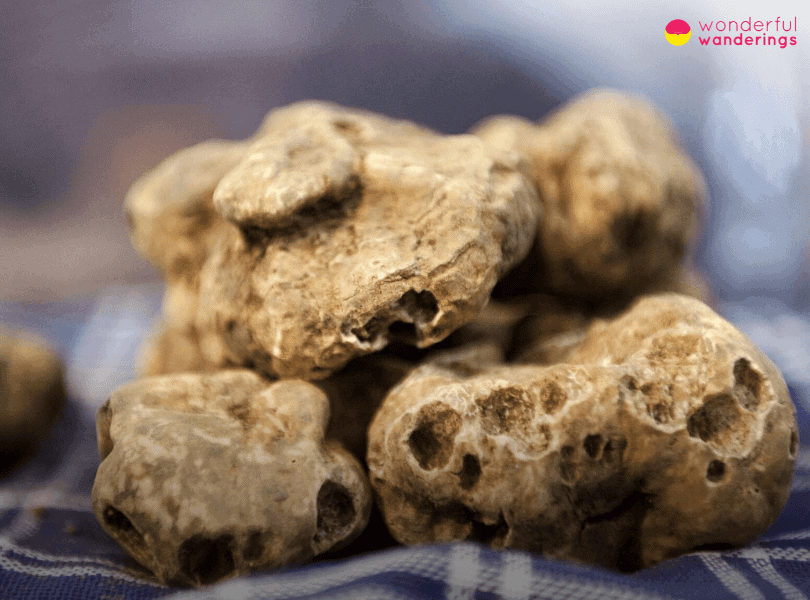 Croatia Truffle