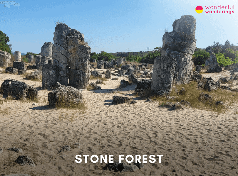 Stone Forest