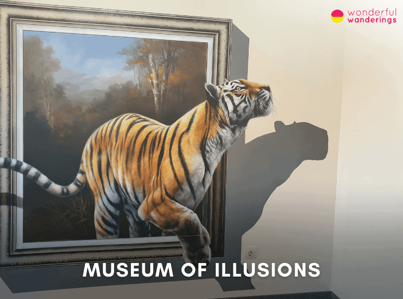 Museum of Illusions