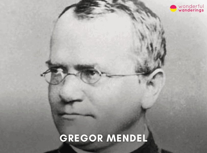 Gregor Mendel