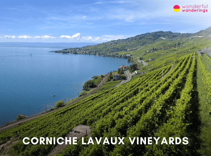 Corniche Lavaux Vineyards