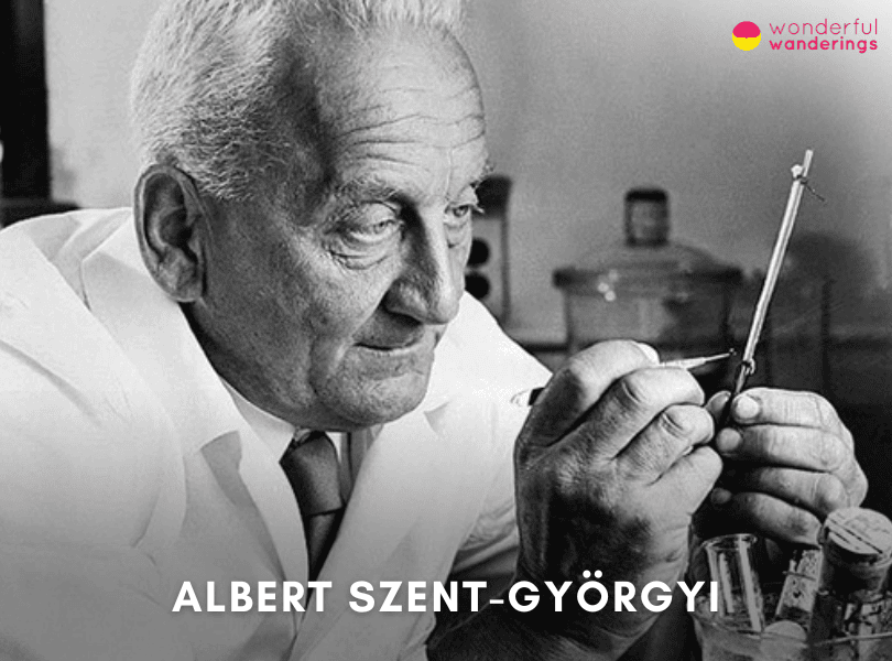 Albert Szent-Györgyi