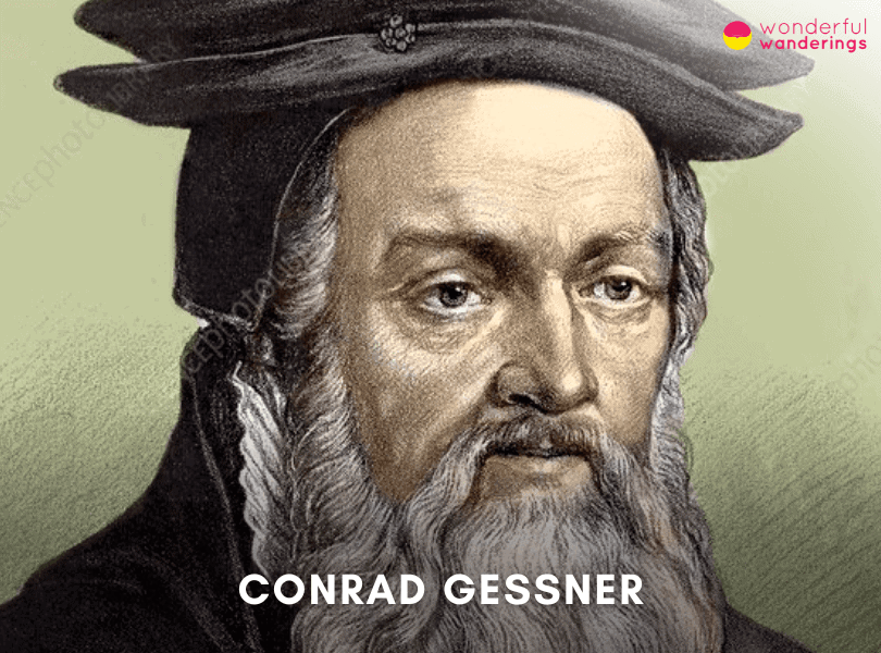Conrad Gessner